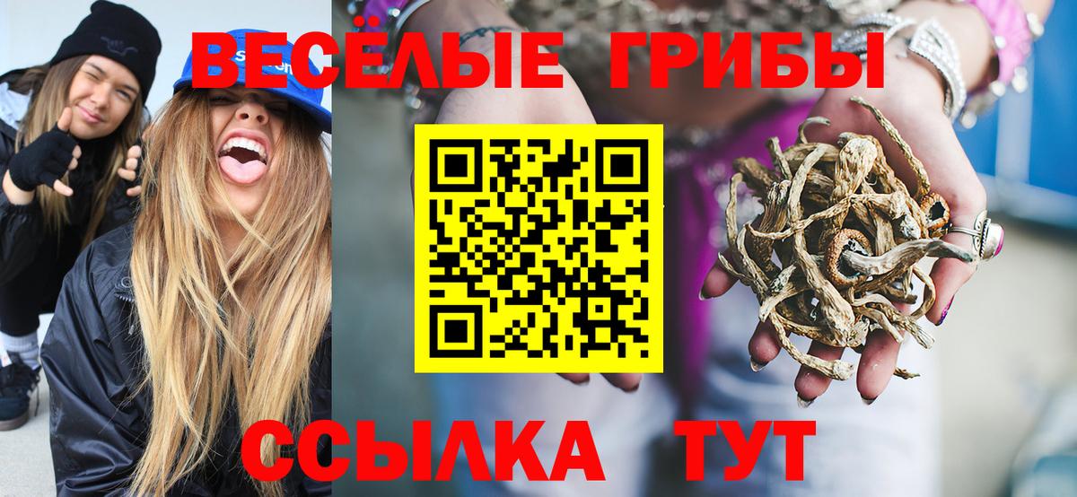 Воронеж  Псилоцибиновые грибы Psilocybine cubensis  Вход с VPN 
